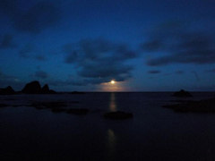 月出東清／Gewgaw 攝